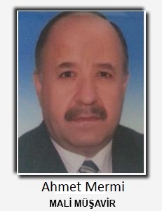 Ahmet Mermi